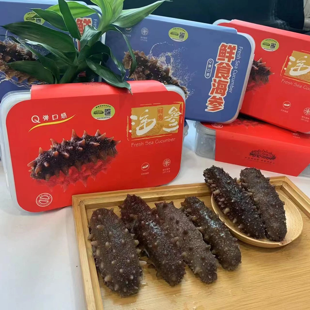 【河上公】鱼胶 6头即食海参大连刺参独立包装冷冻速食450g
