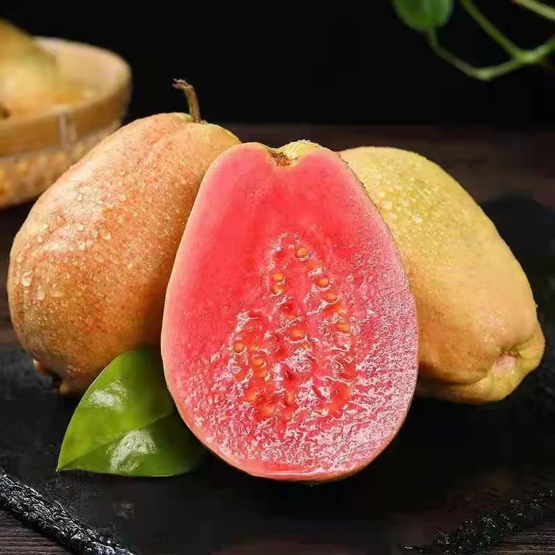正宗草莓奶油芭乐胭脂红番石榴香甜软糯果味浓郁新鲜现摘产地直发