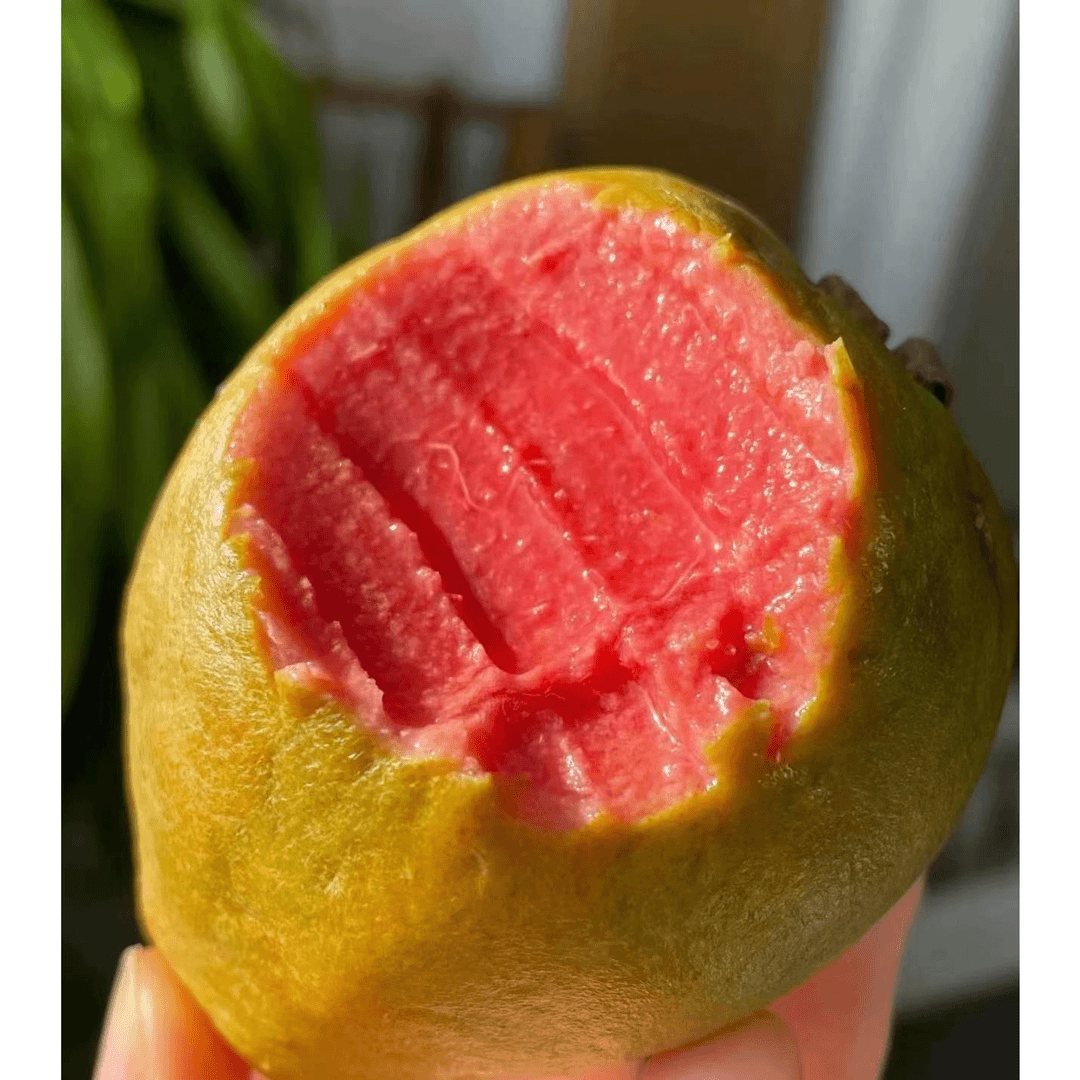 奶油芭乐双拼软芭乐新鲜水果草莓冰淇淋口感现采现摘胭脂红番石榴