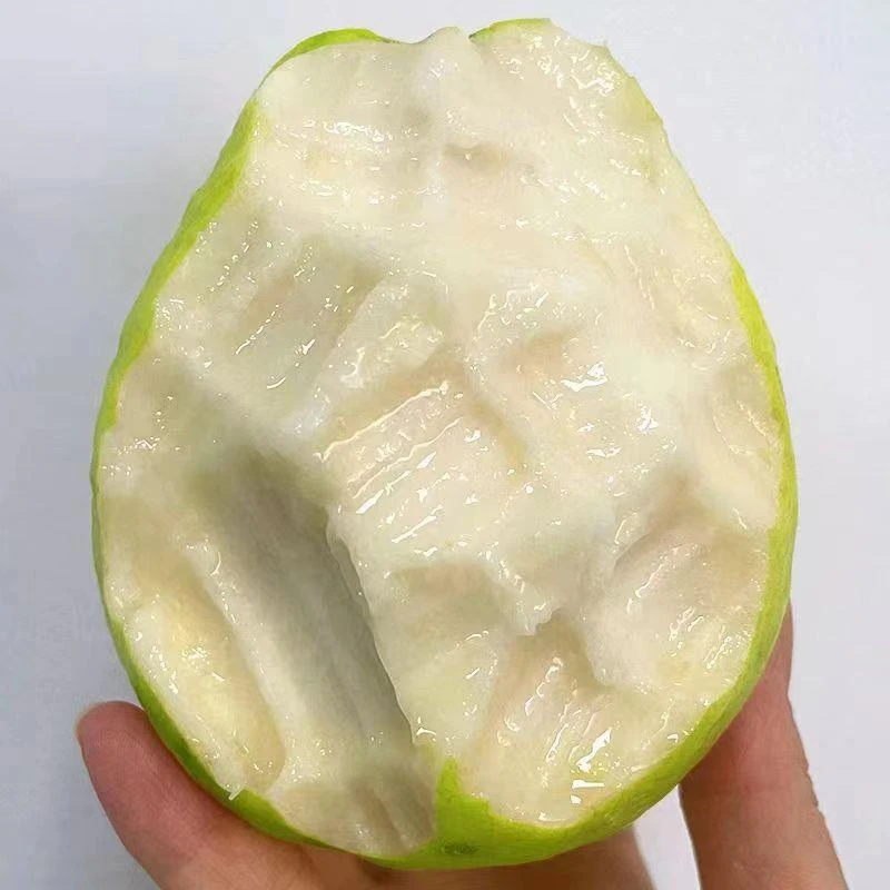 红心白心双拼软芭乐草莓口感现摘现采精选产地直发胭脂红番石榴香