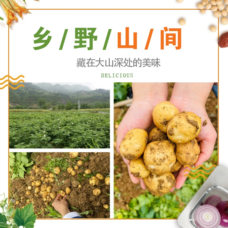 恩施土豆2.5Kg恩施土豆 高山土豆 马尔科 洋芋