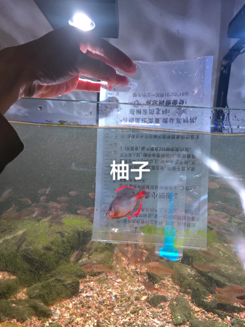 天冷观赏鱼加热包