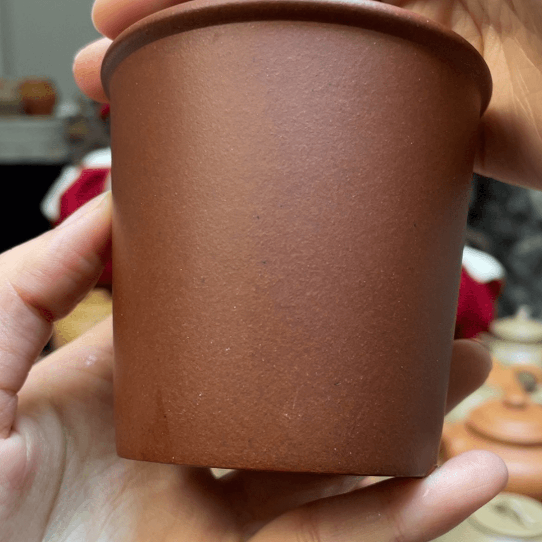 【闪购商品】紫砂茶壶红皮龙180cc
