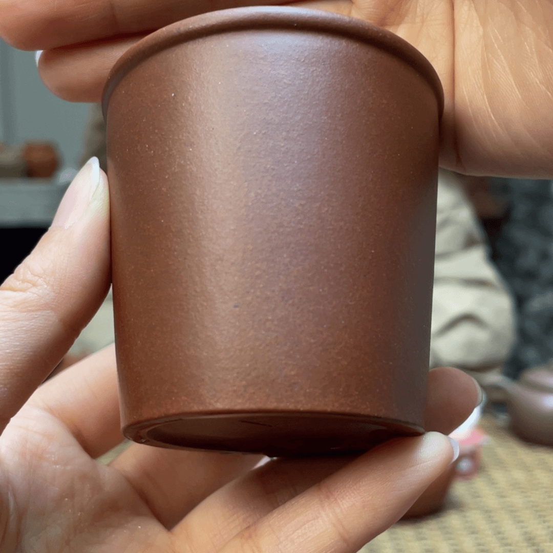 【闪购商品】紫砂茶壶红皮龙120cc