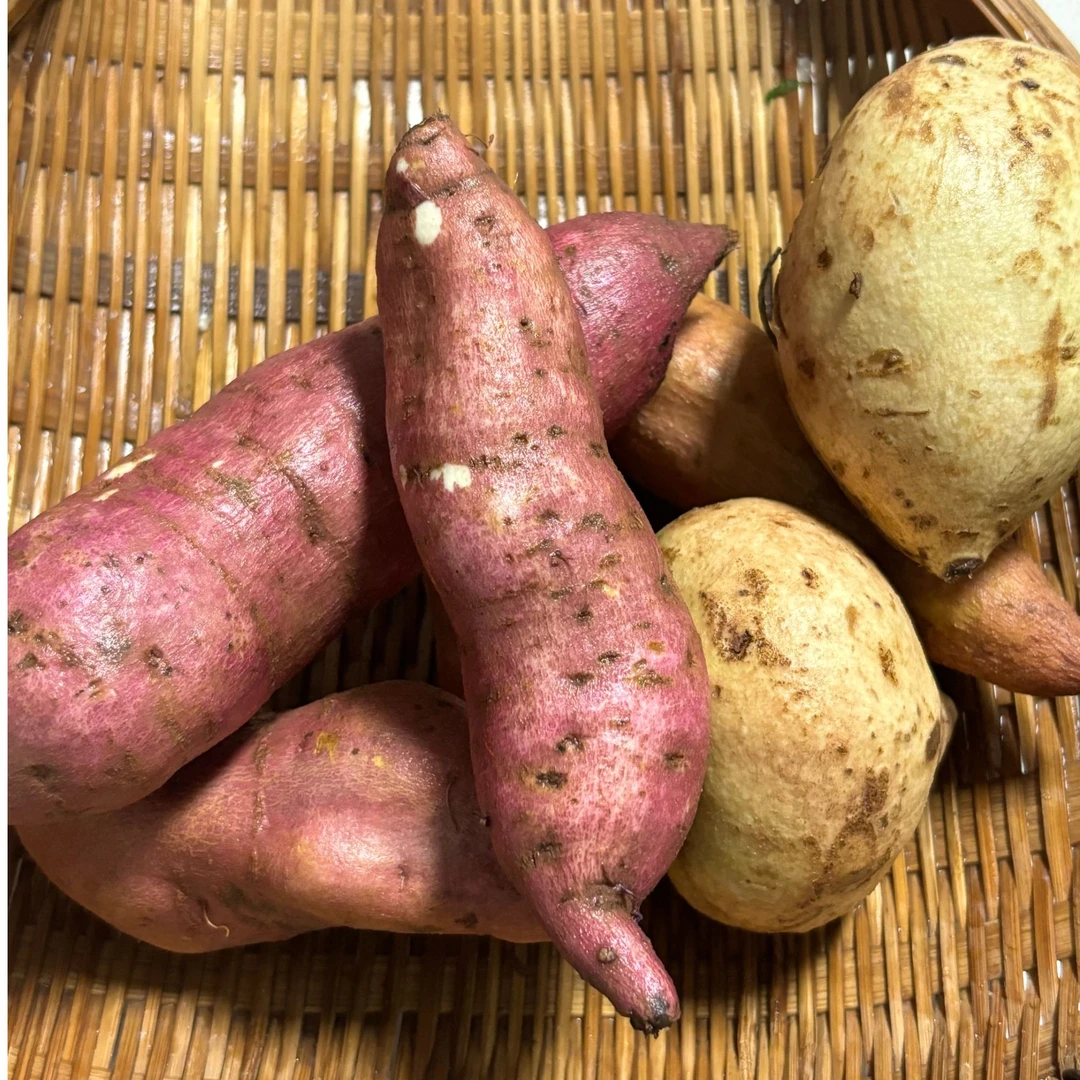 【南岸赶集】农村自家种植新鲜蔬菜
