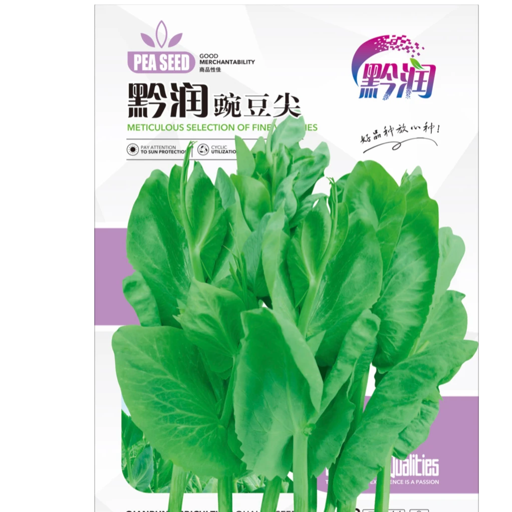 豌豆尖种子高产嫩绿豌豆苗种子四季种植可长期采收蔬菜黔润豌豆尖