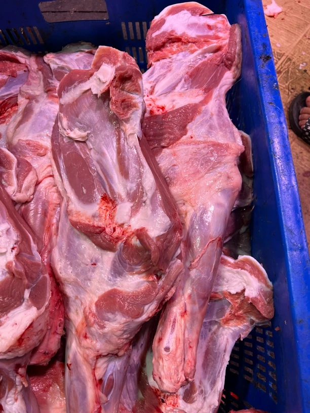 绵羊带骨前腿琵琶腿