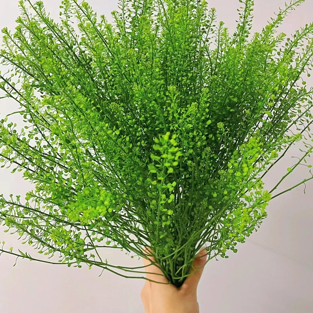 【绿灵草】4扎直播福利云南基地鲜切花直发