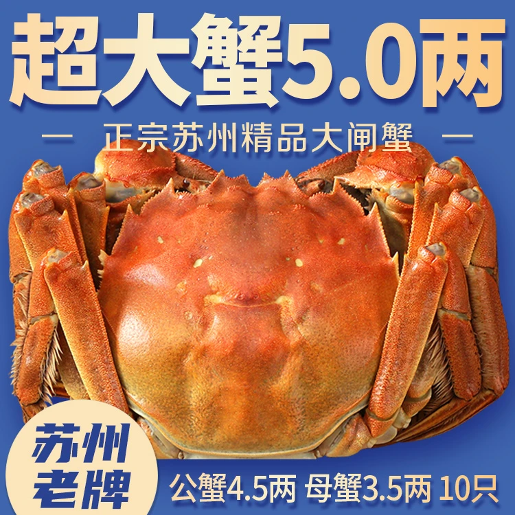 【活蟹】苏州精挑大闸蟹公蟹4.5母蟹3.5两共6只新鲜螃蟹冷链礼盒装