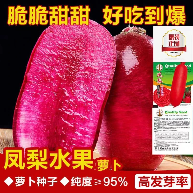 凤梨红心水果萝卜籽种子高产生吃满堂红心里美春秋夏季四季蔬菜籽