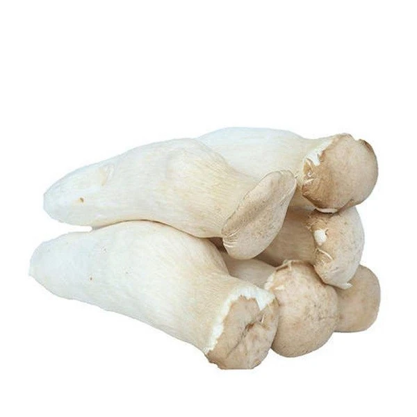新鲜蔬菜 杏鲍菇 鸡腿菇 约200g±50g