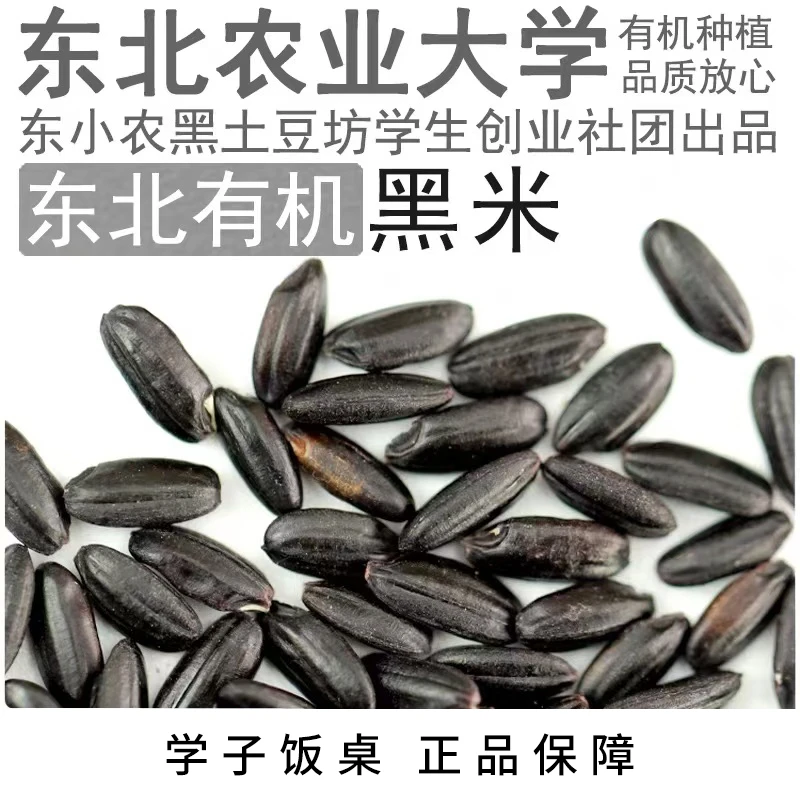 有机黑米单件净重500g