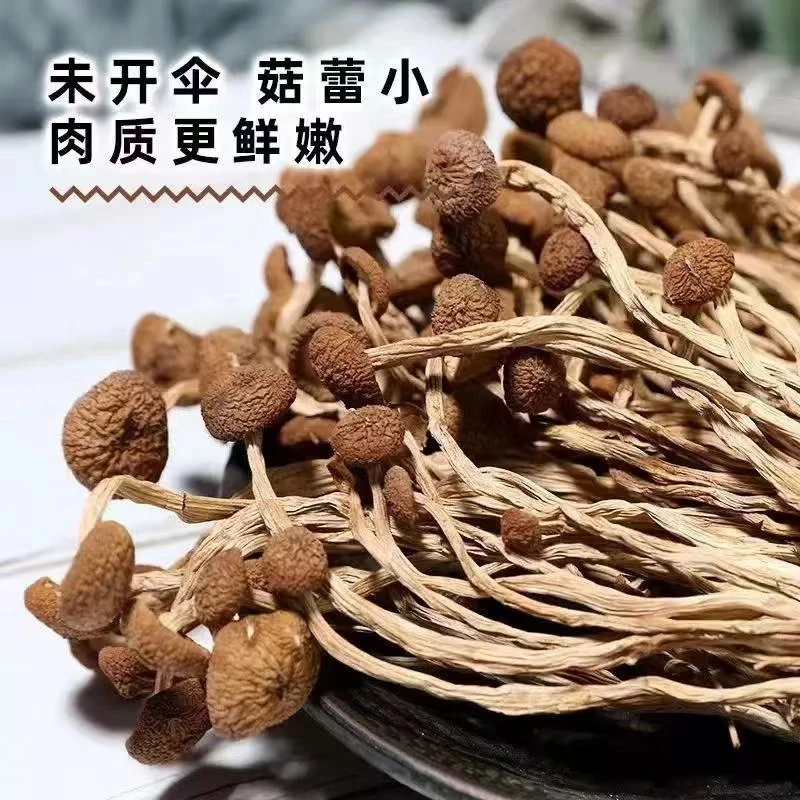 精选茶树菇 正宗农家特产美味 当季鲜货 脆嫩鲜香不开伞无硫干货