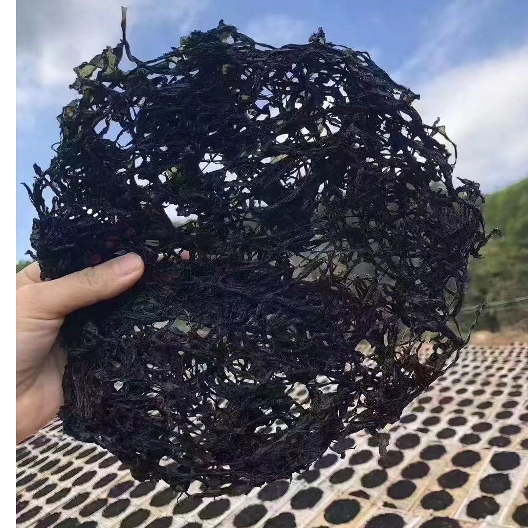 头水圆片紫菜，可直接吃的一款紫菜