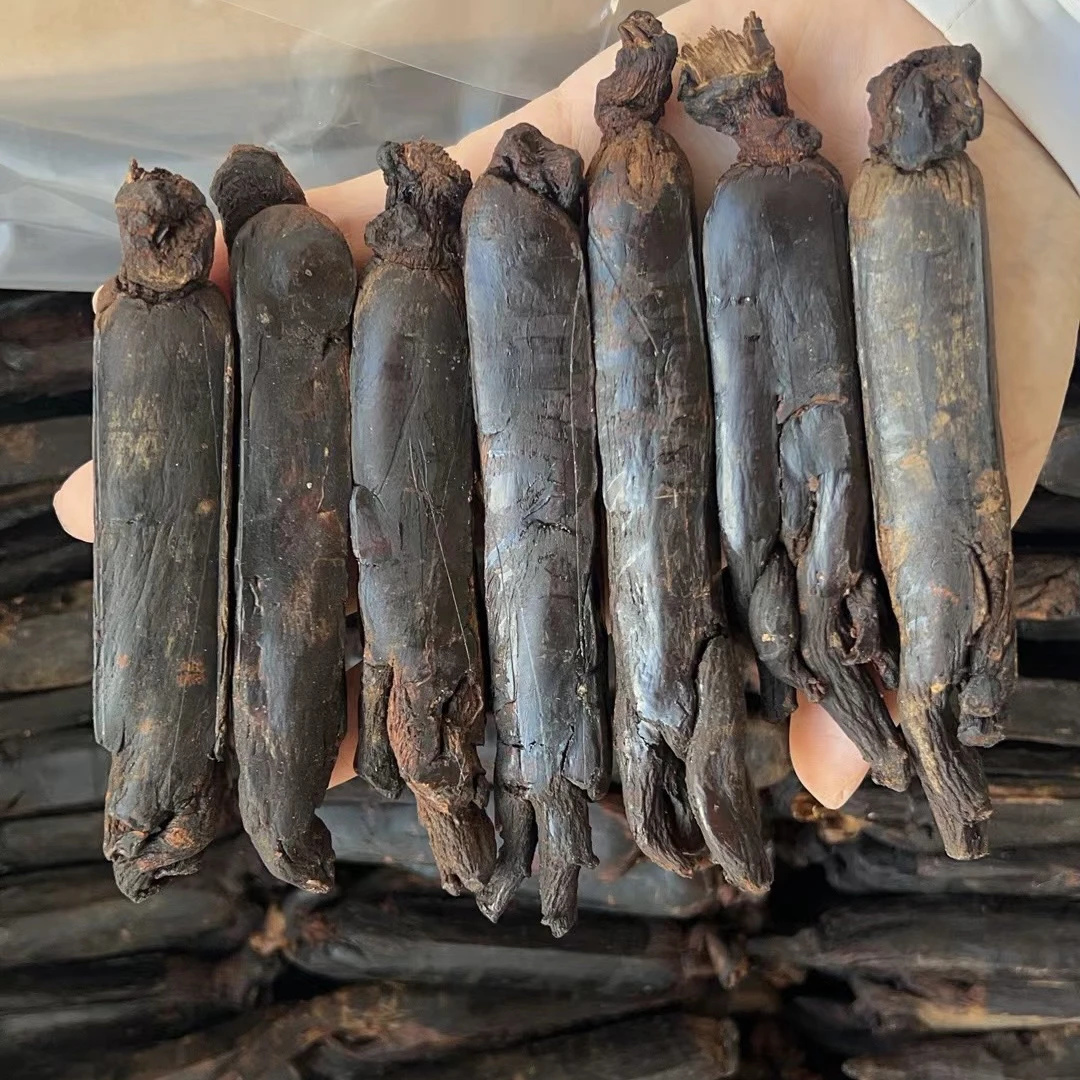 精选长白山整只 高丽黑参 16根左右一斤 单根30克食用人参