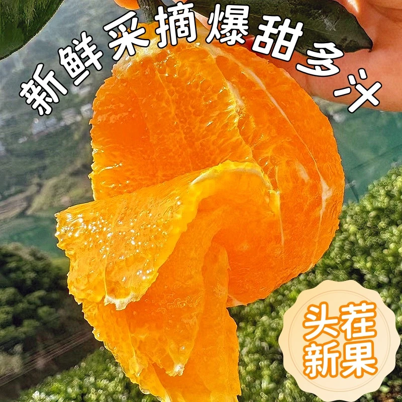 正宗江西赣南脐橙新鲜橙子赣州当季水果冰糖橙可榨汁送开橙器