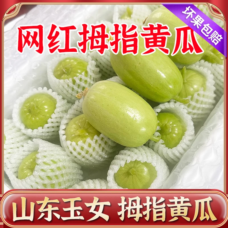 【拇指黄瓜网红爆款】玉女黄瓜水果小黄瓜新鲜拇指黄瓜生吃青瓜现摘
