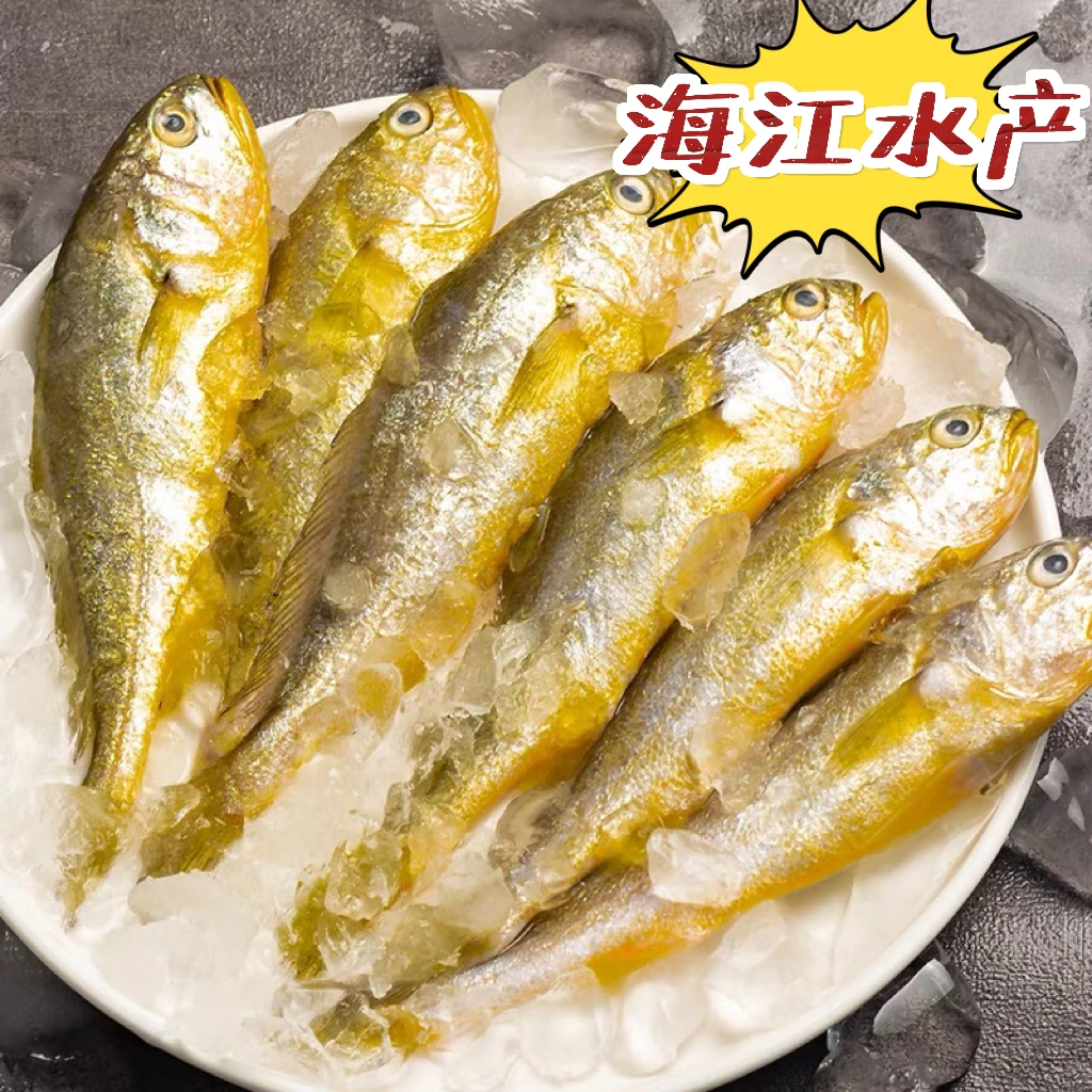 深海优质新鲜海捕小黄鱼5斤鲜嫩无冰衣黄花鱼鲜冻（一斤10条左右)