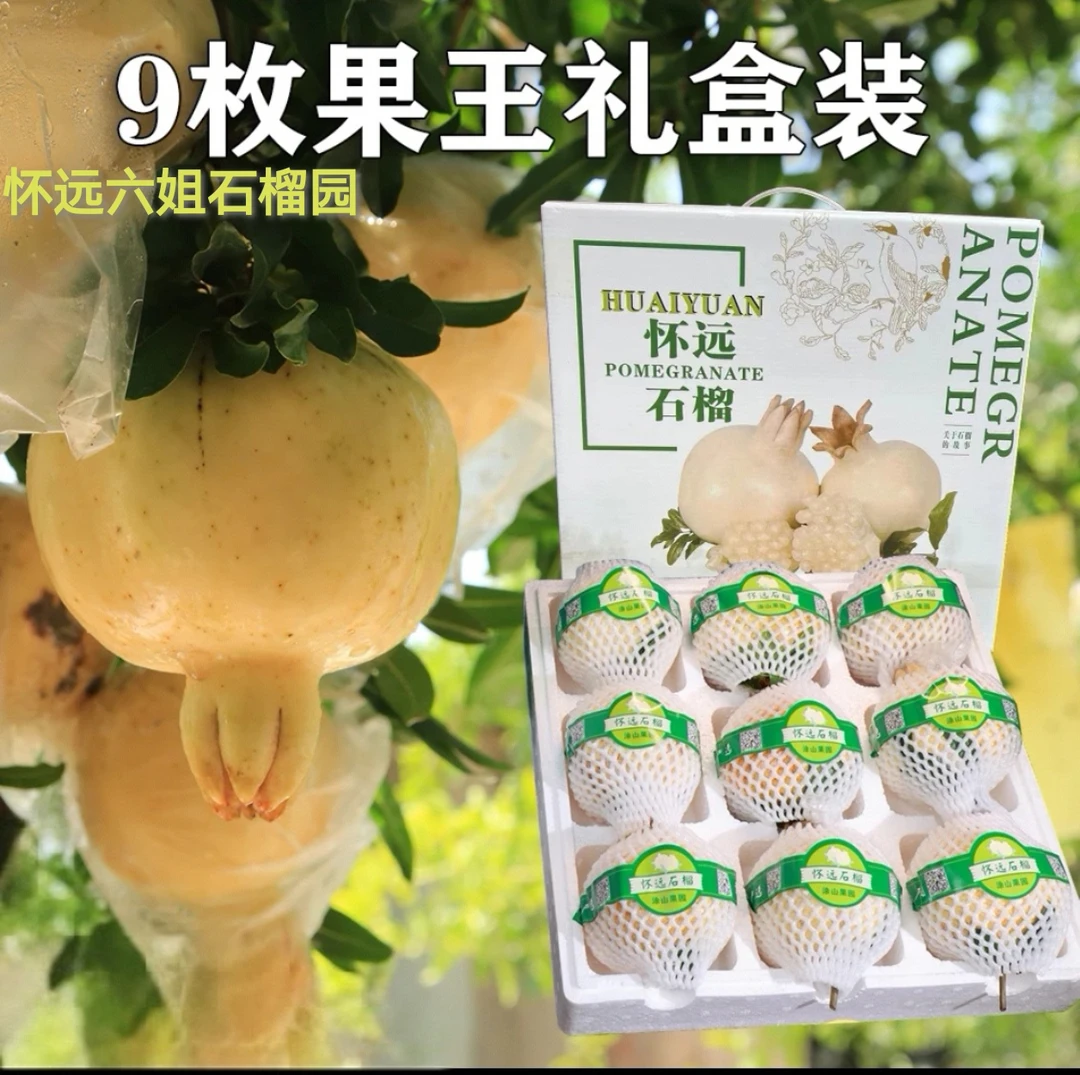 10斤，正宗怀远白花玉石籽，摔坏包赔坏果包赔不够称包赔双11冲销量
