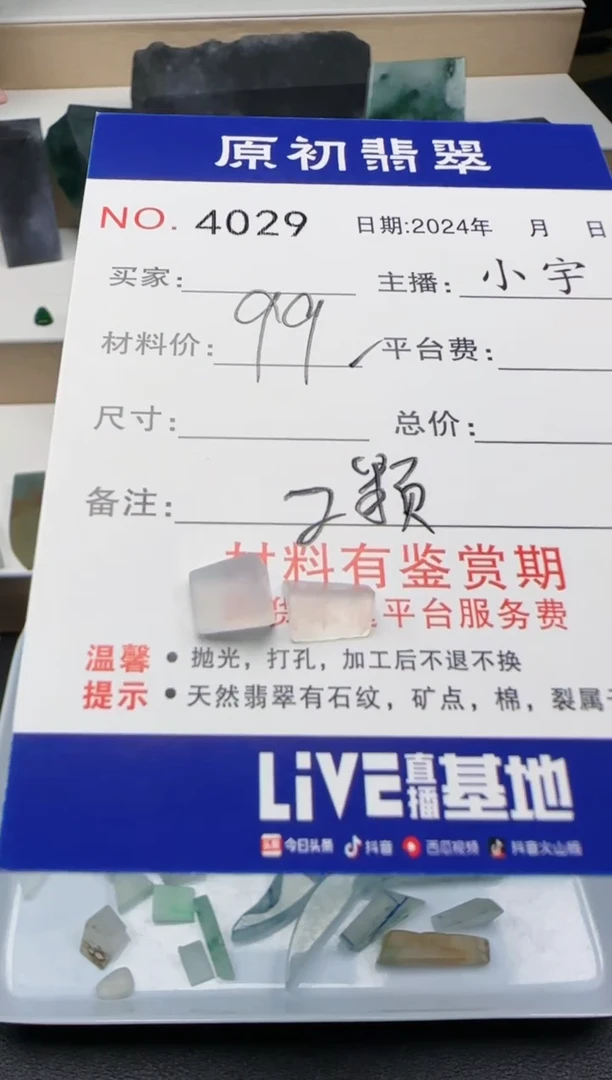 【闪购商品】翡翠颈饰未镶嵌4029