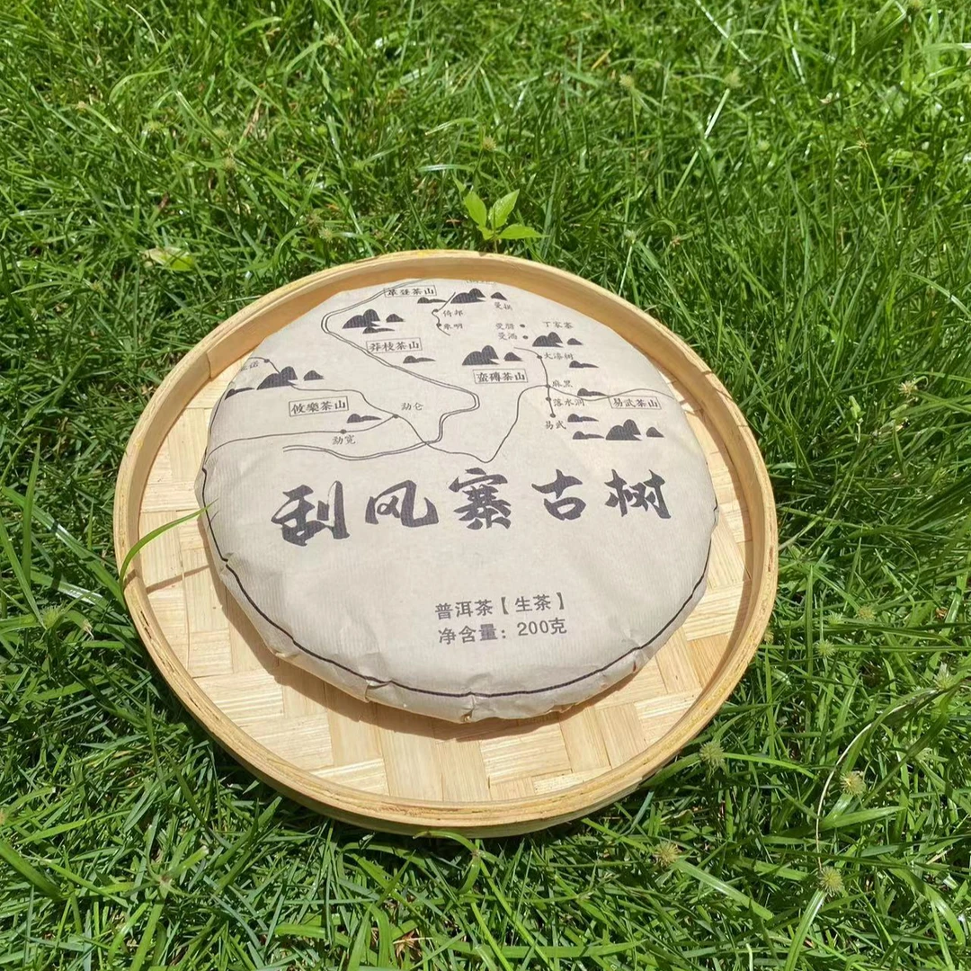 2017刮风寨头春古树生茶200克