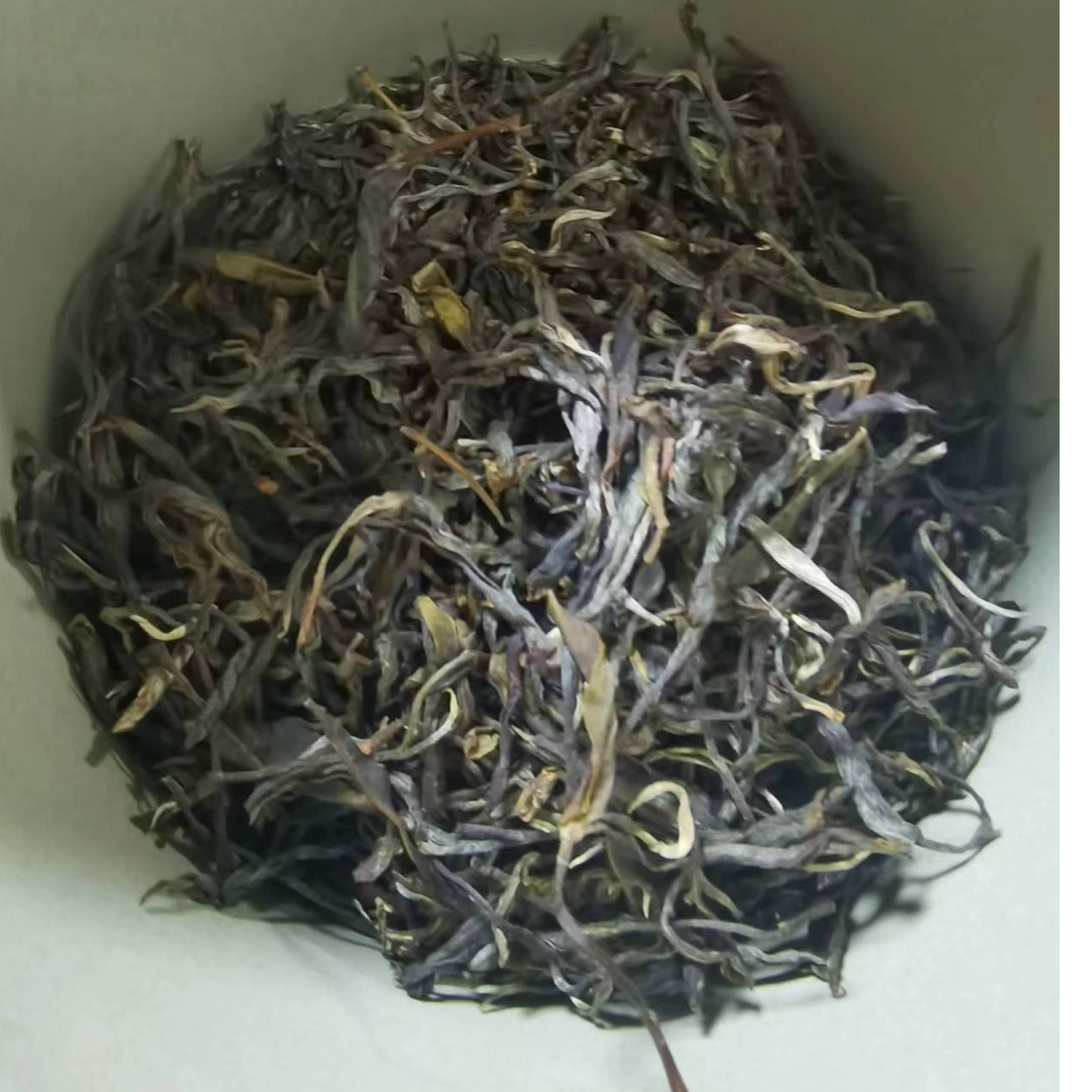 2024古树生茶秋100克