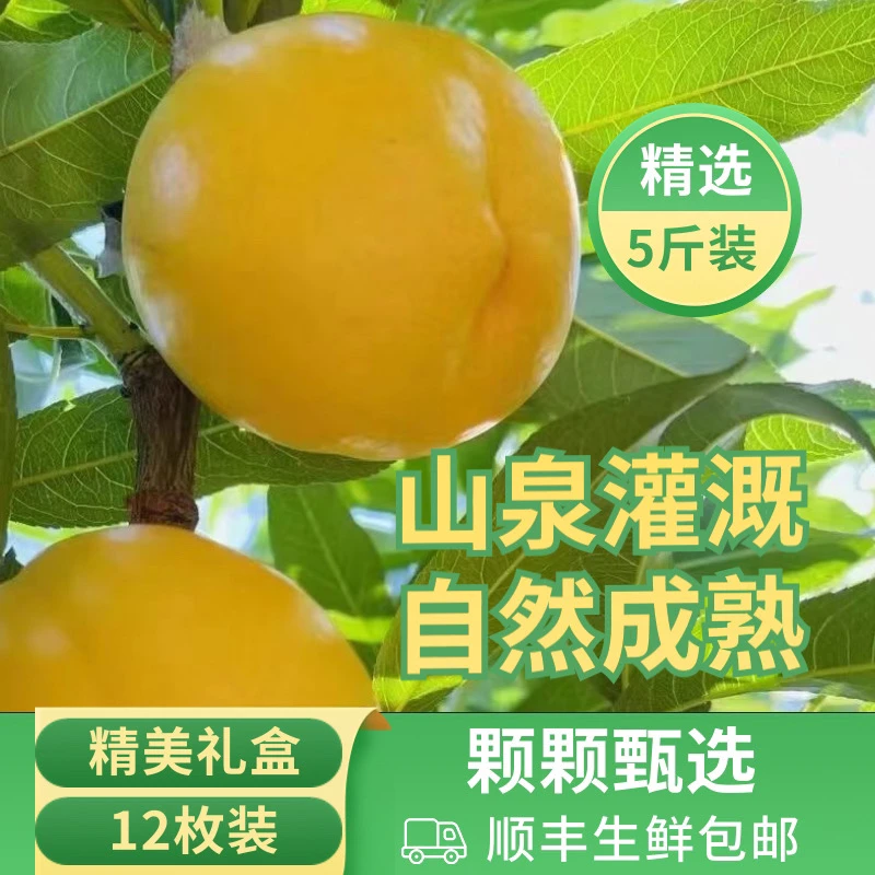 顺丰包邮平谷黄油桃精品果型12枚新鲜多汁爽口鲜甜皮薄坏果包赔