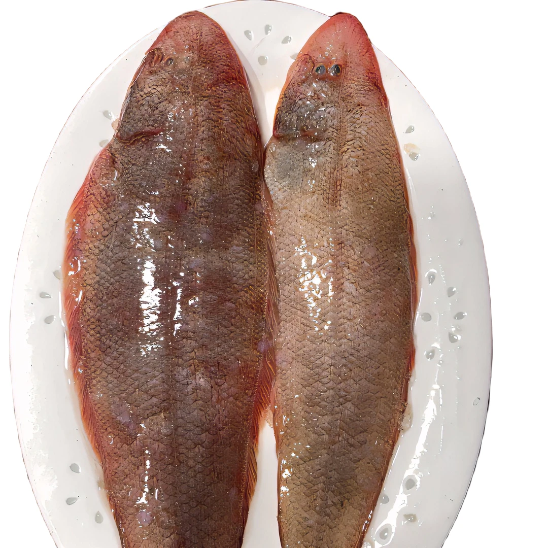 石浦龙利鱼（顺丰发货）