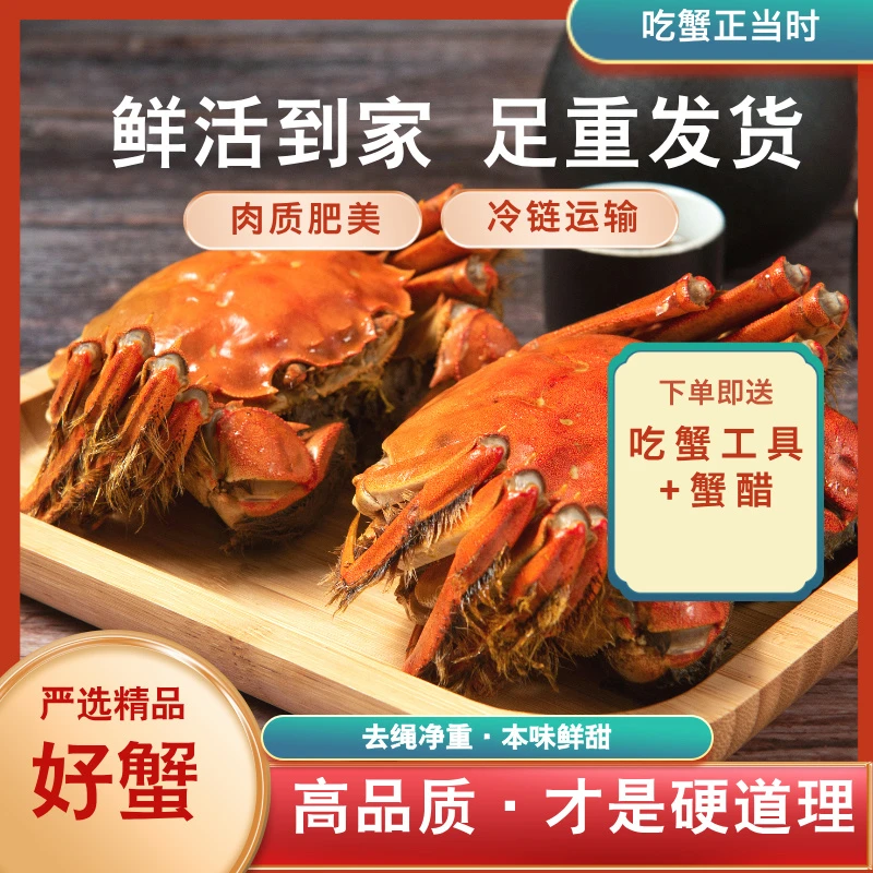 严选精品2.8两--3.2两【母蟹】江苏清水大闸蟹1只 去绳净重 鲜活现发