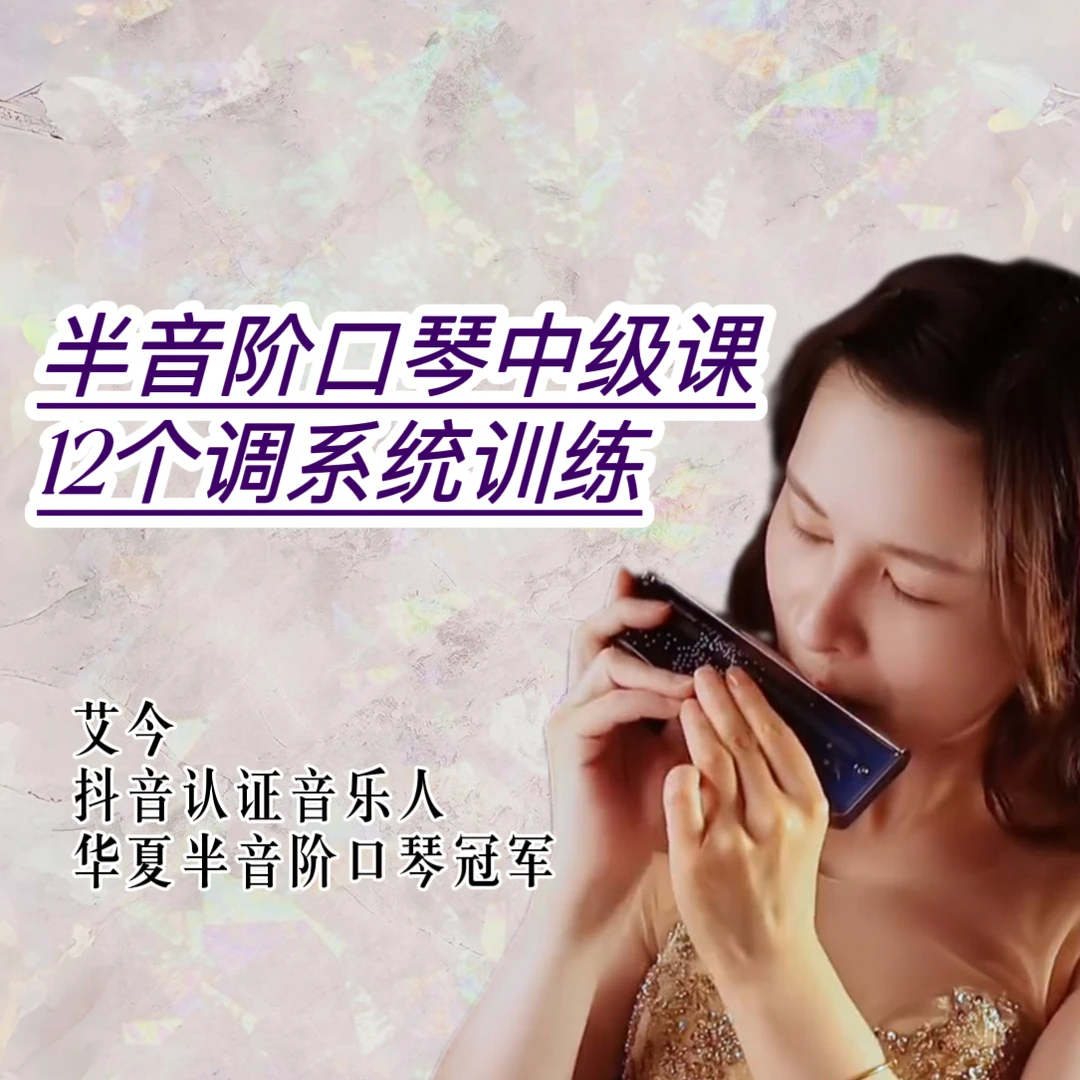 半音阶口琴12个大调的系统训练