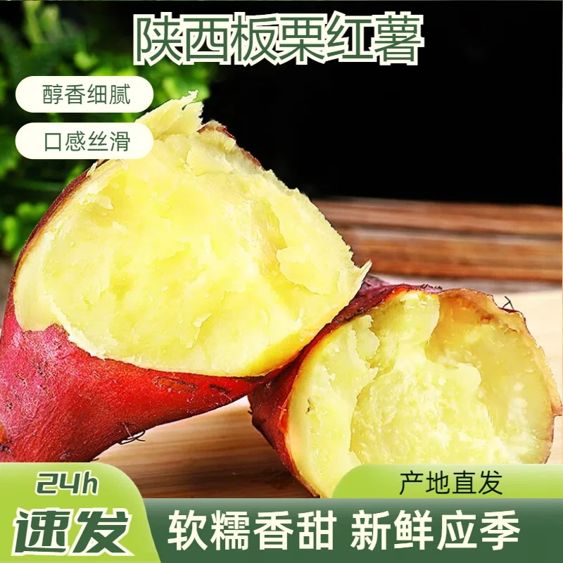 陕西板栗红薯 新鲜蔬菜小香薯桥头地瓜 农家自种沙地板栗薯 软糯