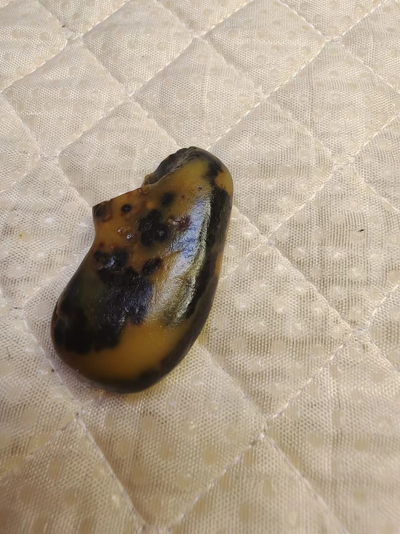 精品唐河彩籽料奇石观赏石天然原石收藏佳品