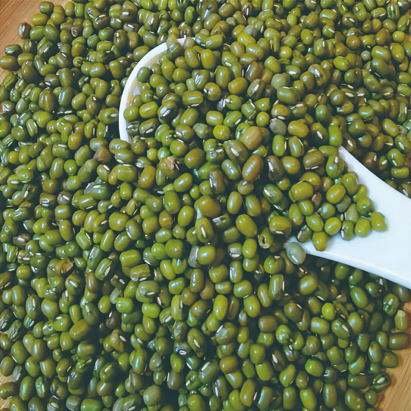 zegeng/泽耕绿豆当季绿豆农家自产可以发芽的绿豆500g