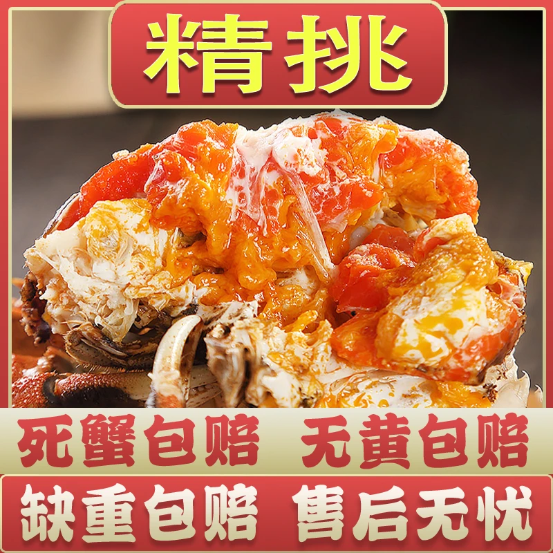 【精挑大闸蟹】全母蟹8-10只大闸蟹【3.1-2.8两】金标苏蟹活蟹中秋高端礼盒现捞现发顺丰京东