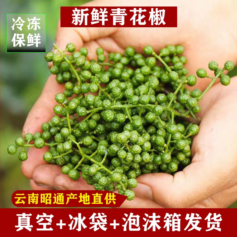 云南新鲜青花椒特产藤椒新鲜采摘昭通产地直发真空生花椒350g农家