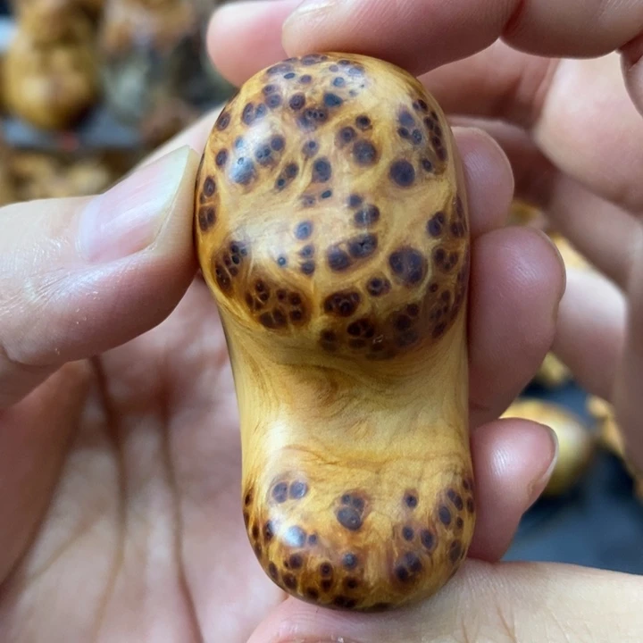 柏木（崖柏）崖柏888