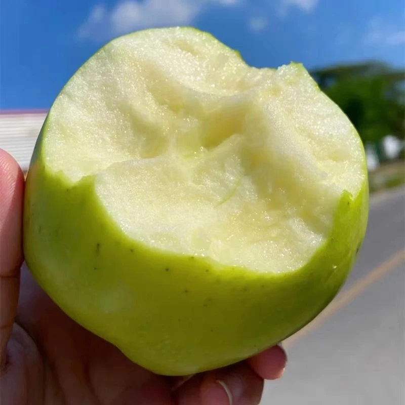 【新疆王林苹果】正宗新鲜青森苹果脆甜爽口新鲜应季水果包邮