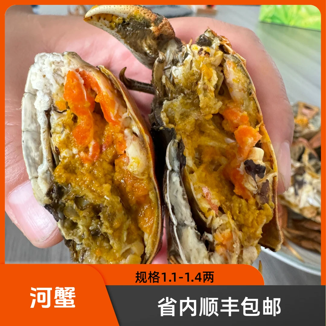 【活蟹】省内专拍盘山农垦盘锦河蟹全母规格1.1-1.4两 2斤/3斤 顺丰