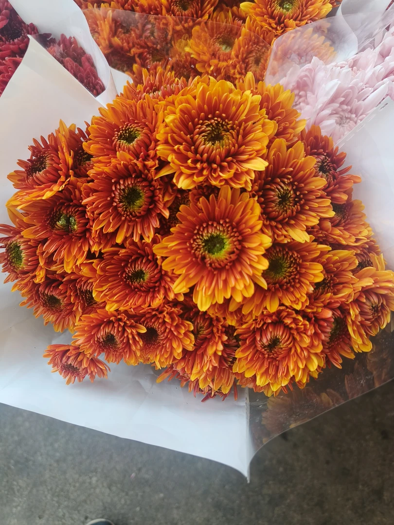 【宏图鲜花】橙沙拉小雏菊/送保鲜剂