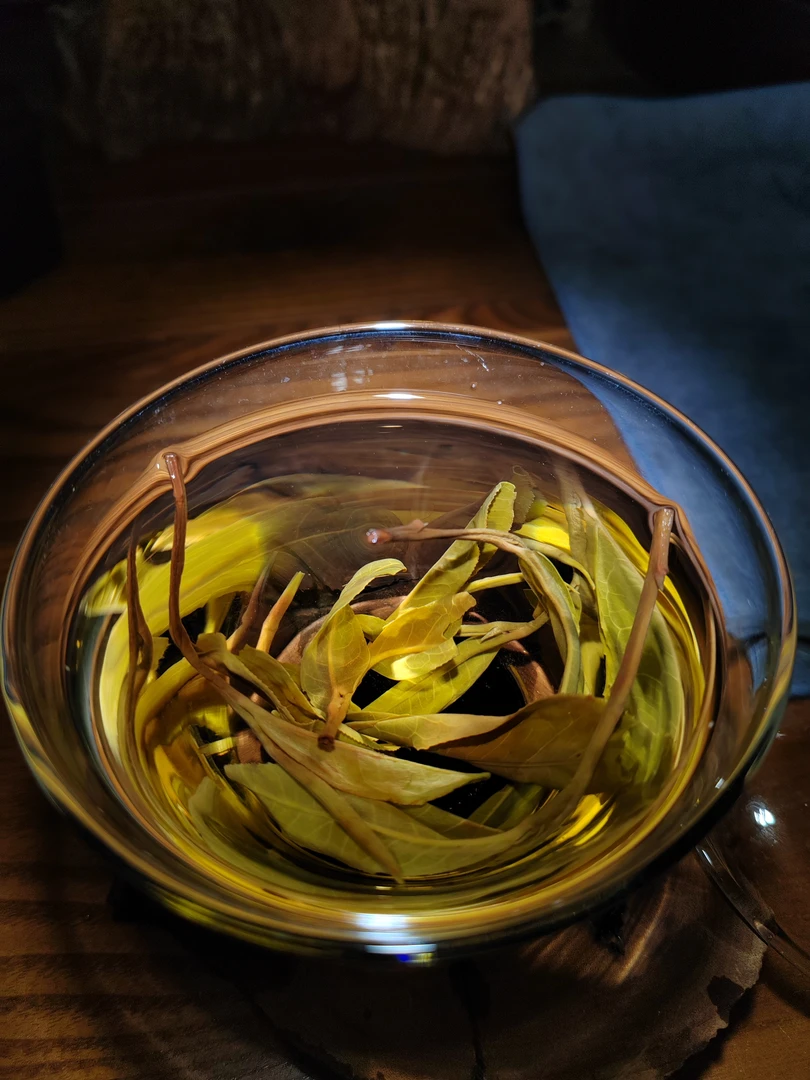 云南普洱茶版纳古六大茶山、蛮砖古树头春2023品鉴砖