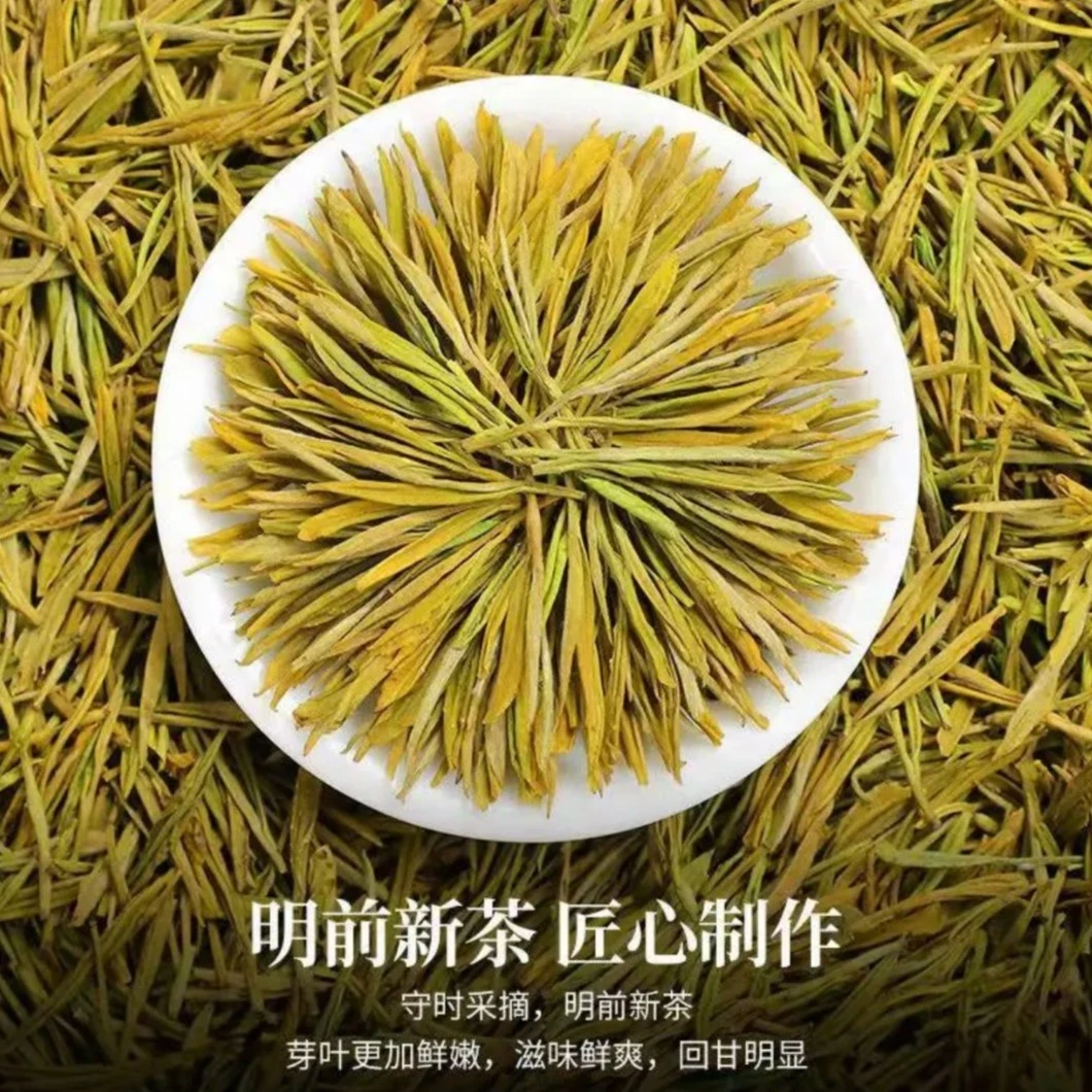 【浙江湖州黄金芽绿茶】湖州安吉核心产区全芽春季高山安吉黄金芽