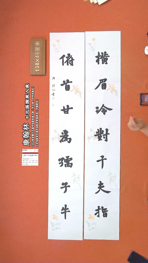 【闪购商品】书法35康汉林书法作品