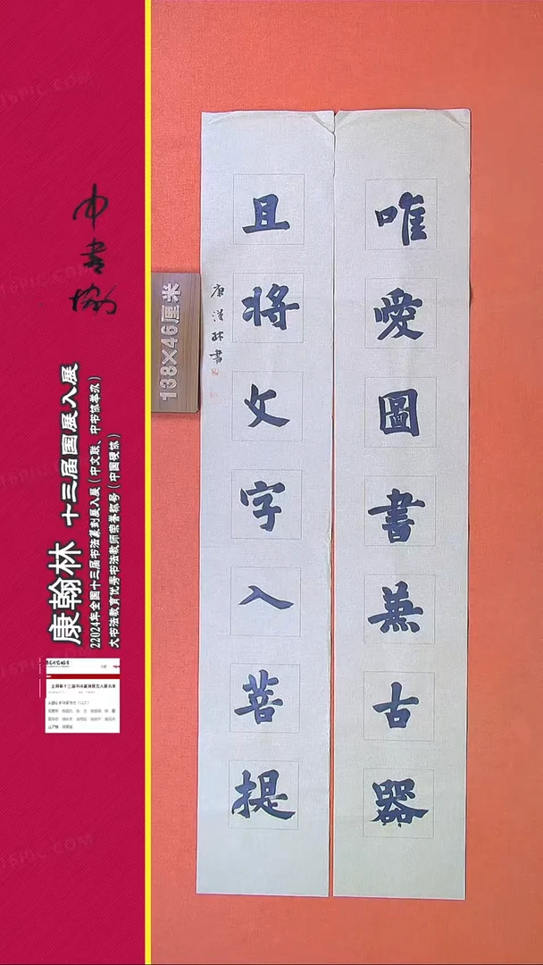 【闪购商品】书法398康汉林书法作品