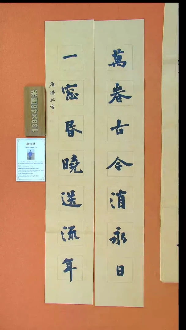 【闪购商品】书法228国展书家康汉林书法作品