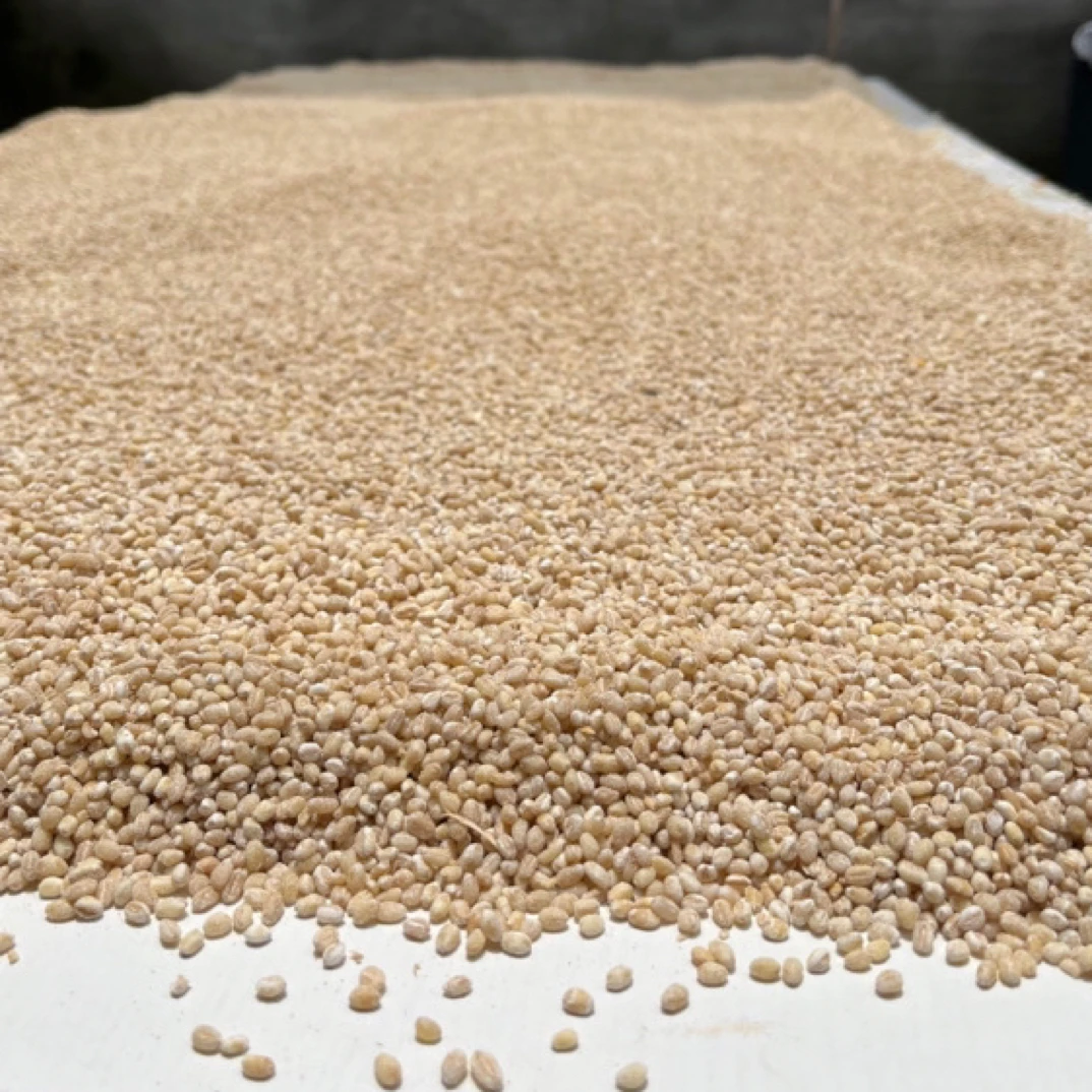 【方松农产】2025年农家自种新小麦（脱皮麦仁）