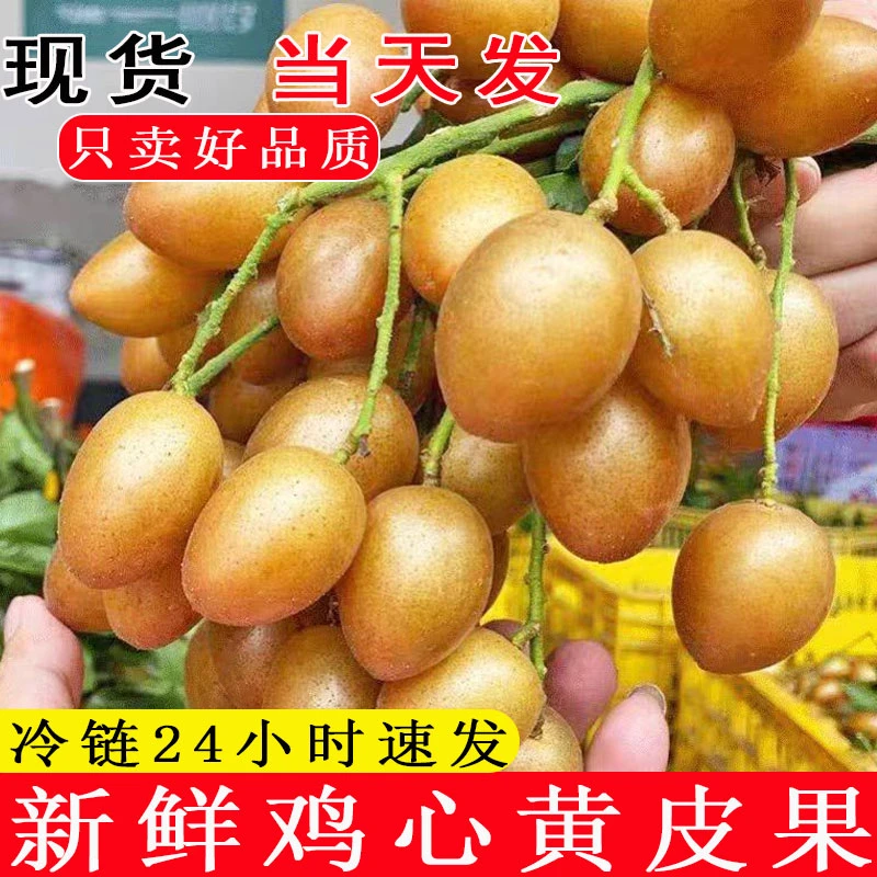 【发货快】黄皮果现摘鸡心黄皮大果酸甜可口新鲜当季孕妇水果现货
