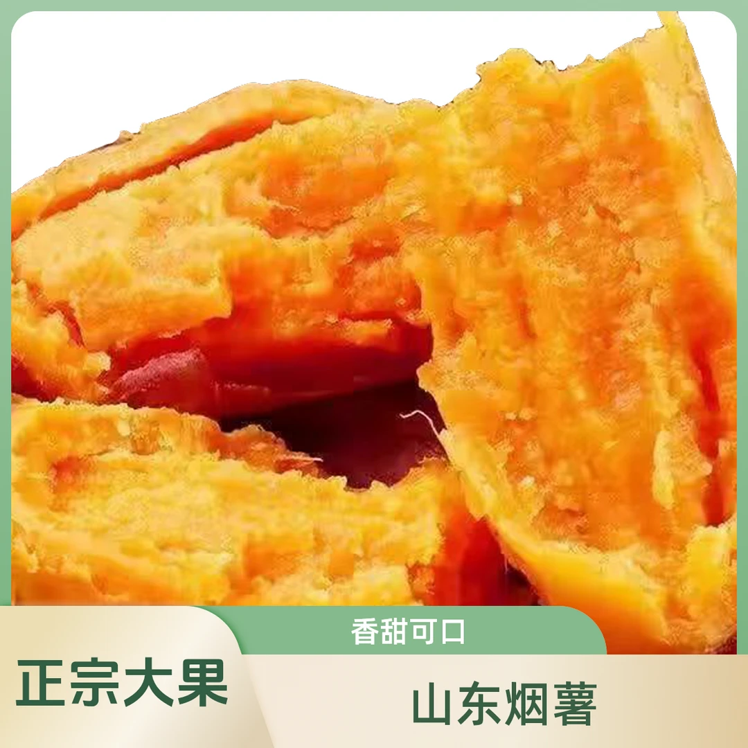 山东正宗烟薯25大果4-6个