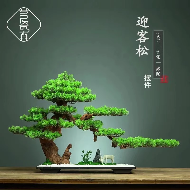 【直播间一物一拍】进口黑松盆景 盆栽摆件组合迎客松  一物一拍