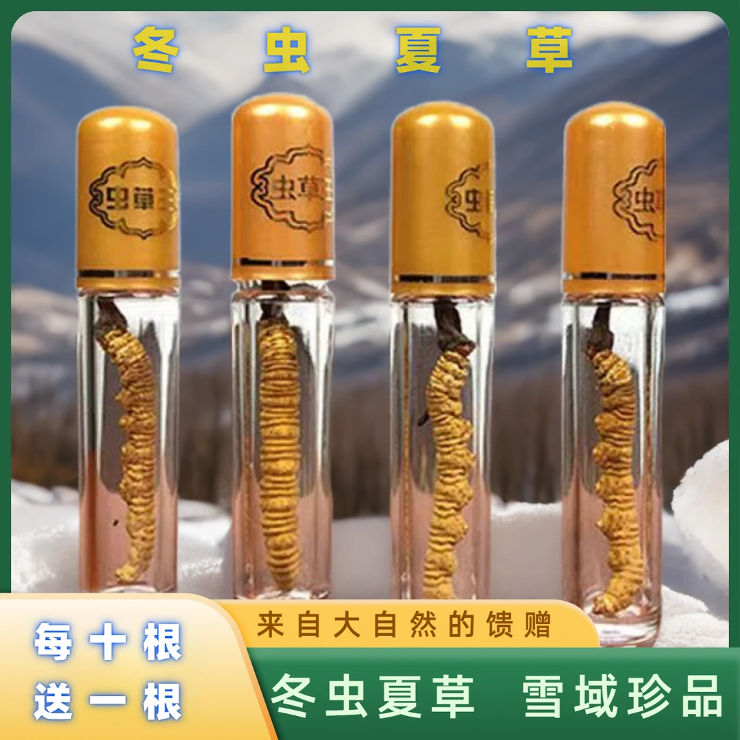 （10送1） 整草冬虫夏草自用送礼煲汤西藏大根断非那曲四川青海虫草