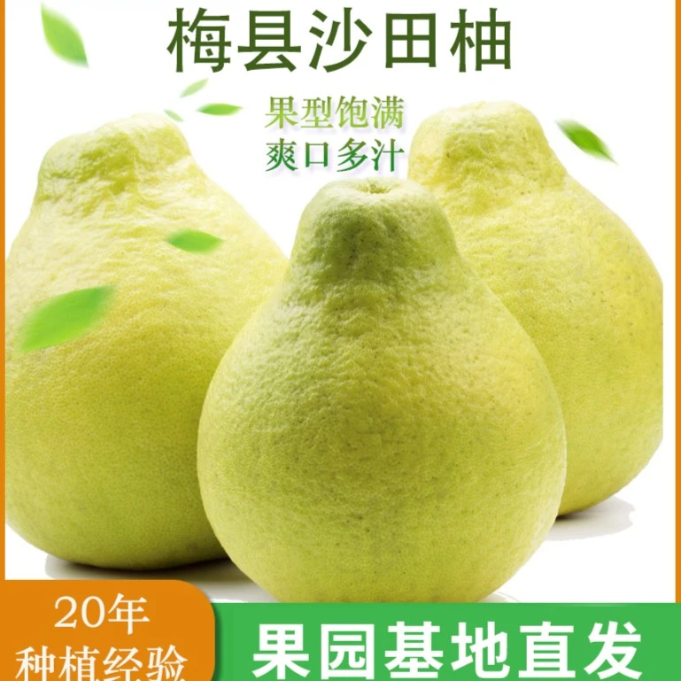 【纯甜】现摘正宗梅州沙田柚清甜新鲜2个4~5斤装柚子水果